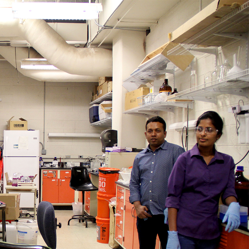 Post Doctoral Students in Research Lab